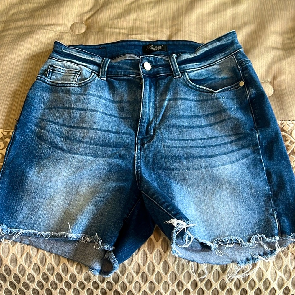 Judy Blue Denim Shorts 1X